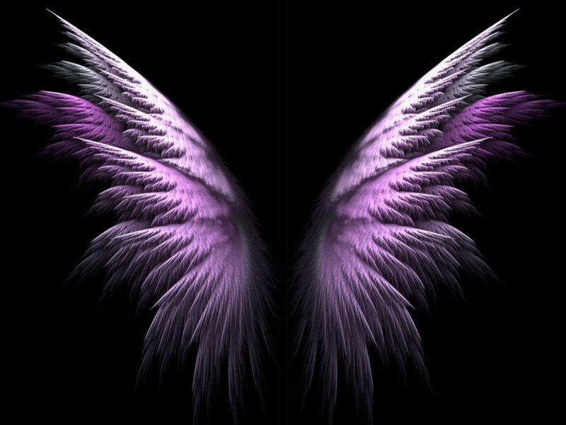 Purple Angel Wings — Dramatic