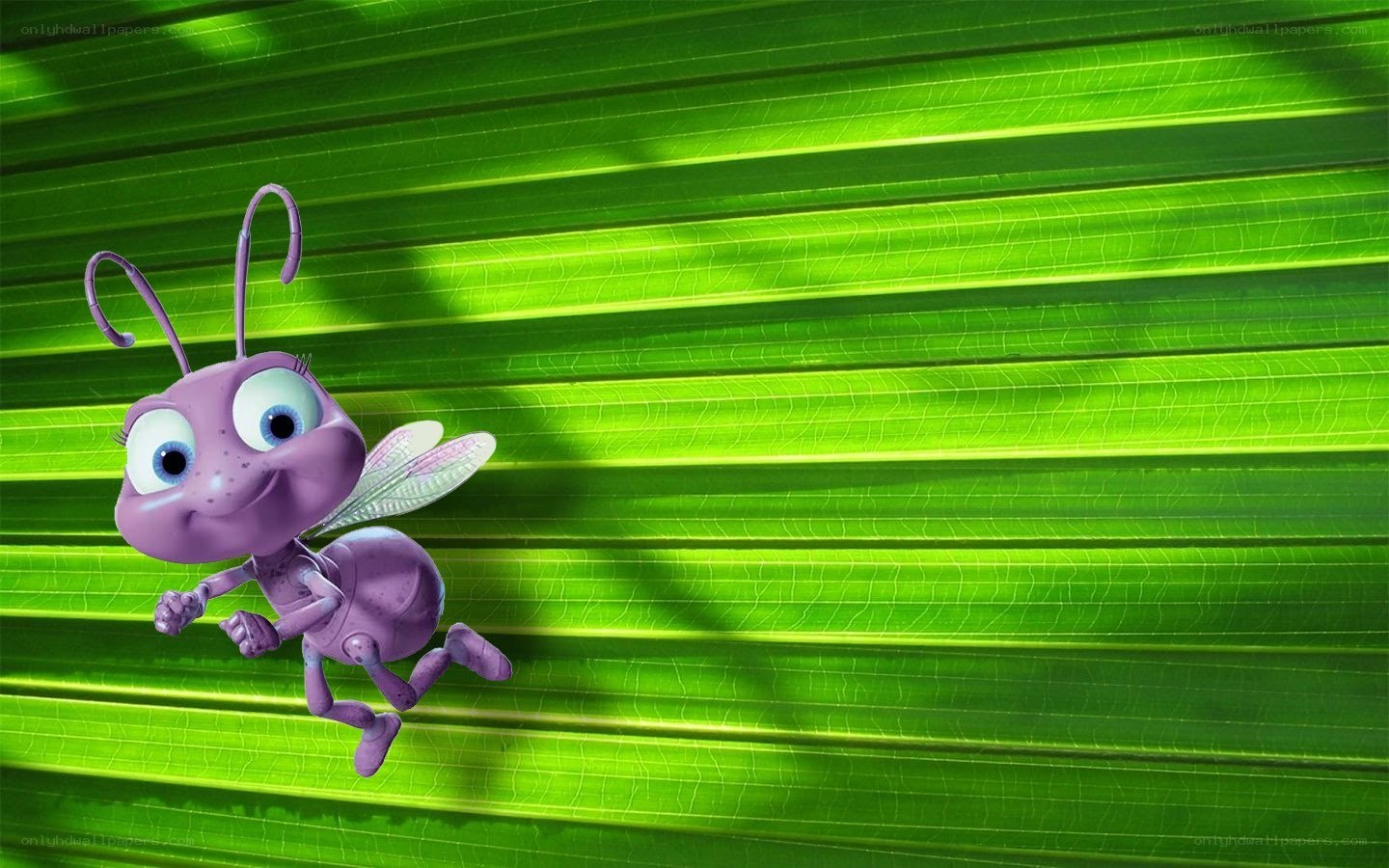 purple ant on green leaf