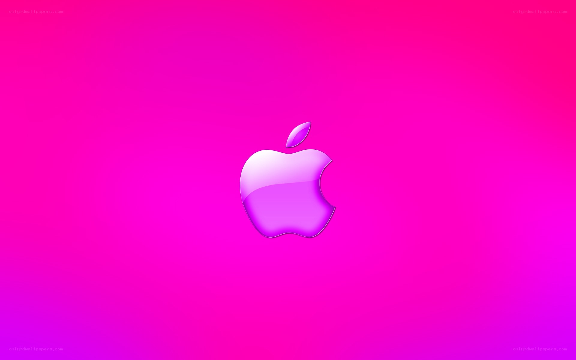 purple apple logo on pink