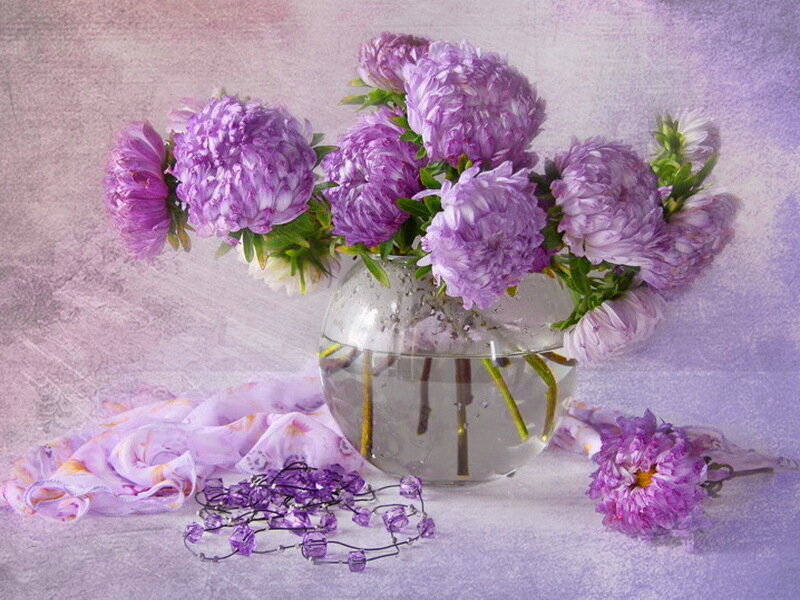 Purple Asters in Vase — Serene