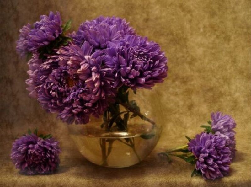 Purple Asters in Vase