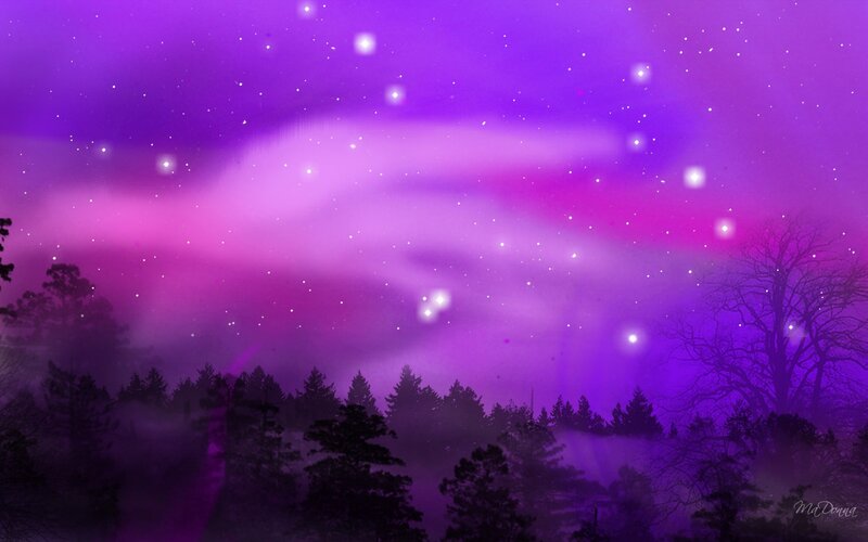 Purple Aurora over Forest — Serene, Night