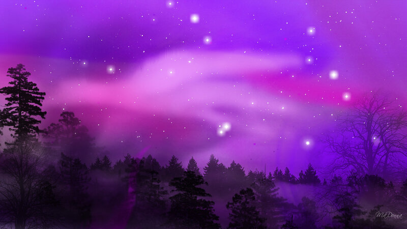 Purple Aurora over Forest — Serene