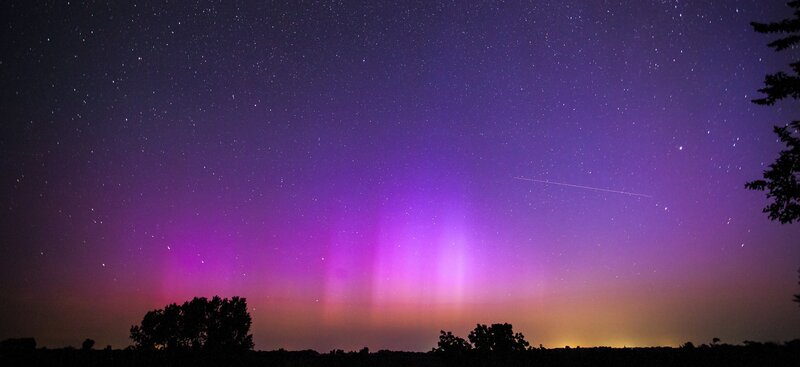 Purple aurora over trees