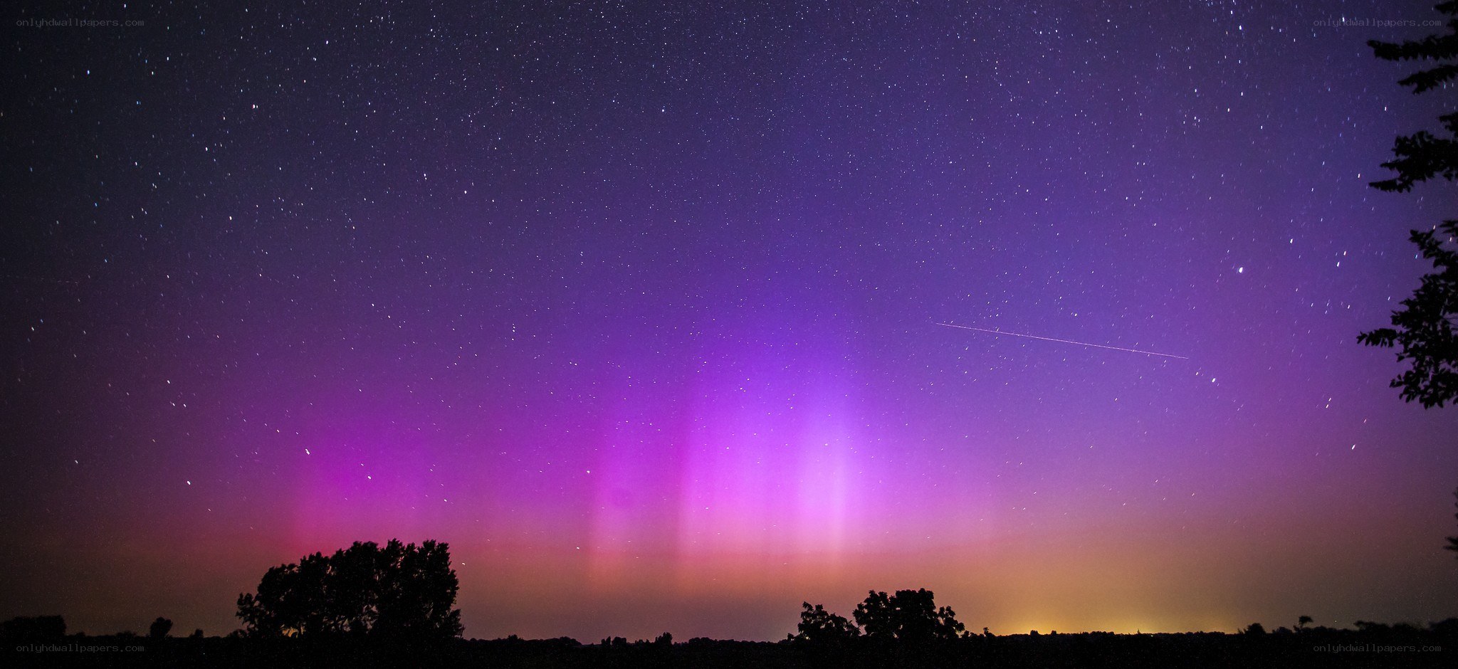 Purple aurora over trees