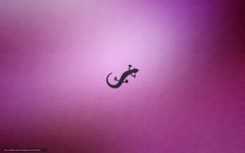 purple background with gecko silhouette