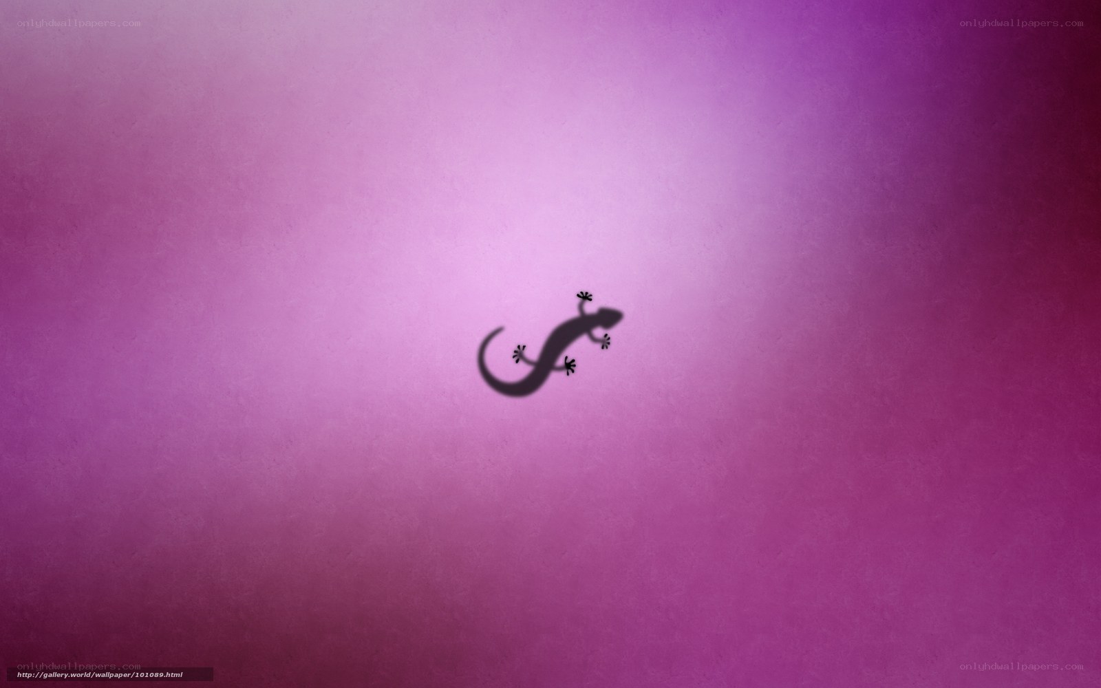 purple background with gecko silhouette