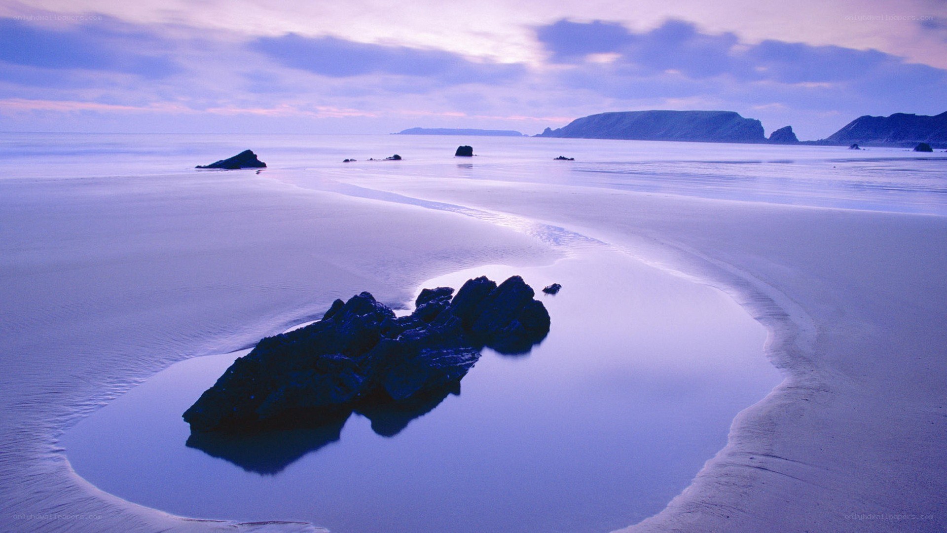 Purple beach at dawn