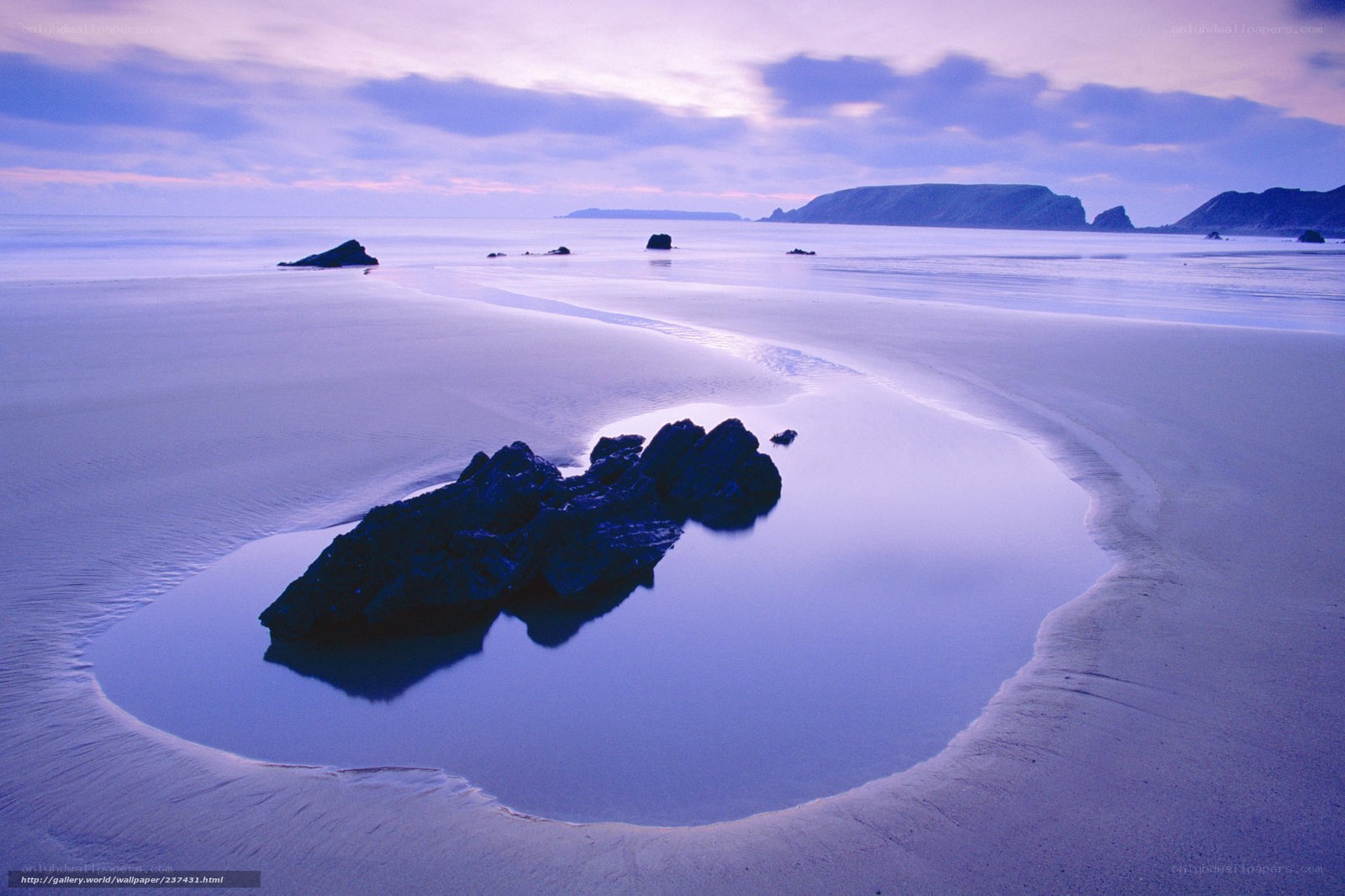 Purple beach at dusk