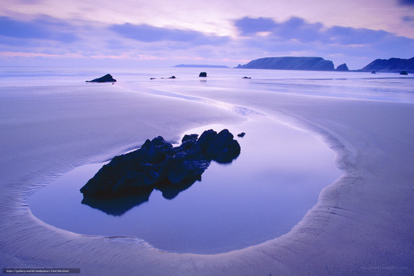 Purple beach at twilight