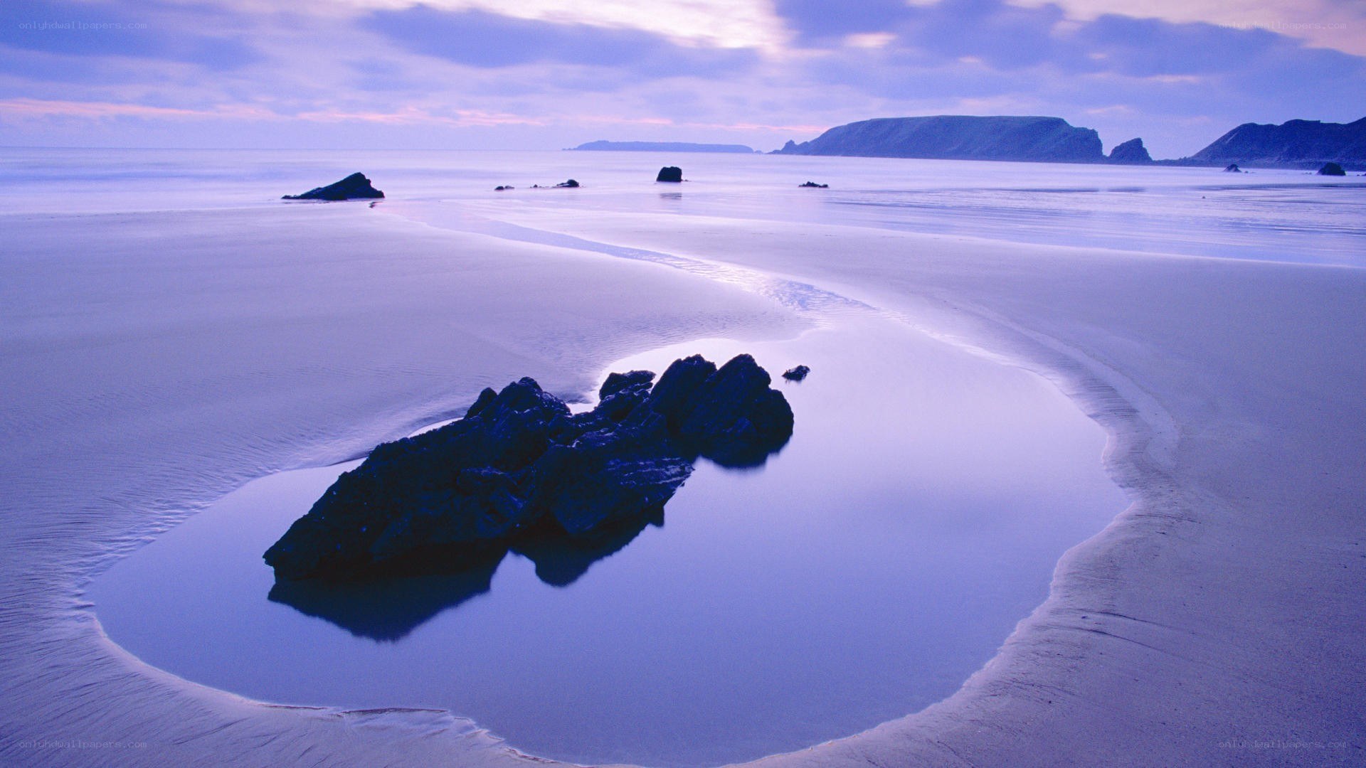 Purple beach at twilight