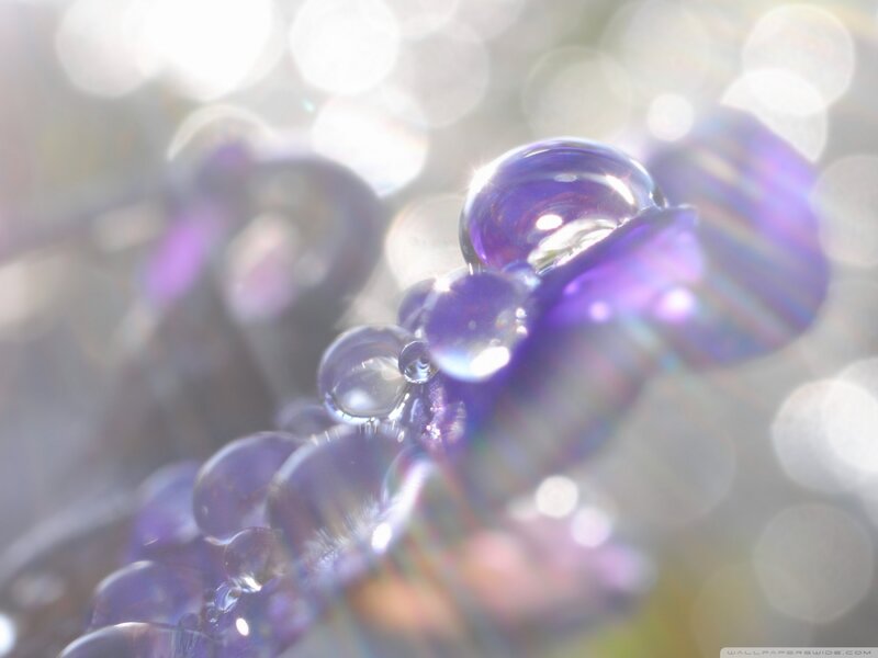 Purple Beads with Water Droplets