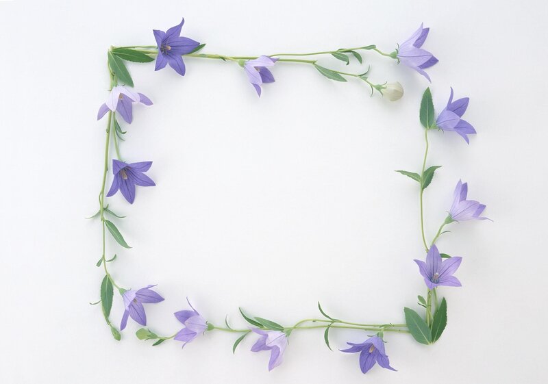 purple bell flowers frame