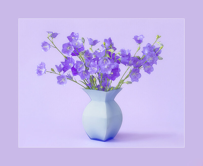 Purple Bell Flowers in Vase — Serene, Photograph, Stem