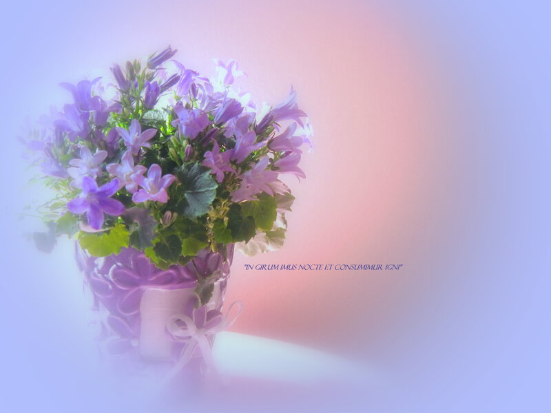 Purple Bell Flowers in Vase — Serene, Photograph