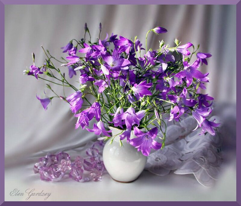 Purple Bell Flowers in Vase