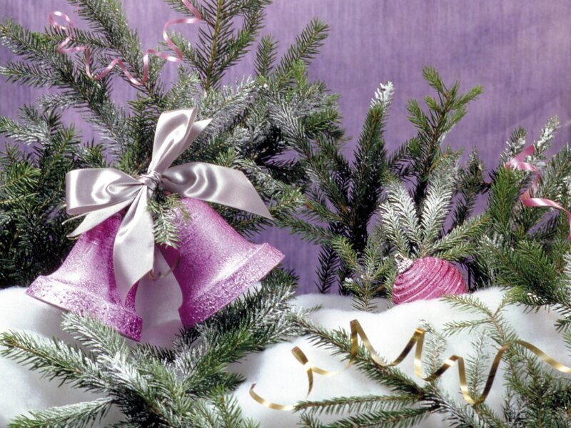 Purple Bells on Pine Branches — Festive, Winter, Photograph, Bow