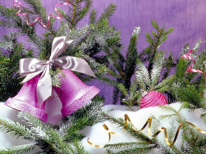 Purple Bells on Pine Branches — Festive, Winter, Photograph