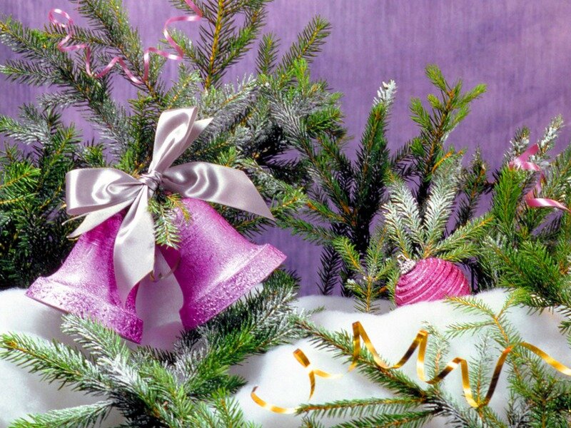 Purple Bells on Pine Branches — Festive, Winter