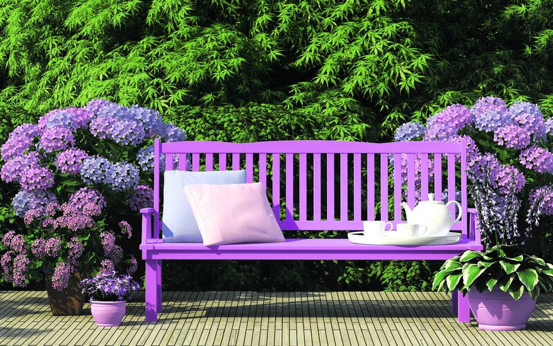 Purple Bench in Garden