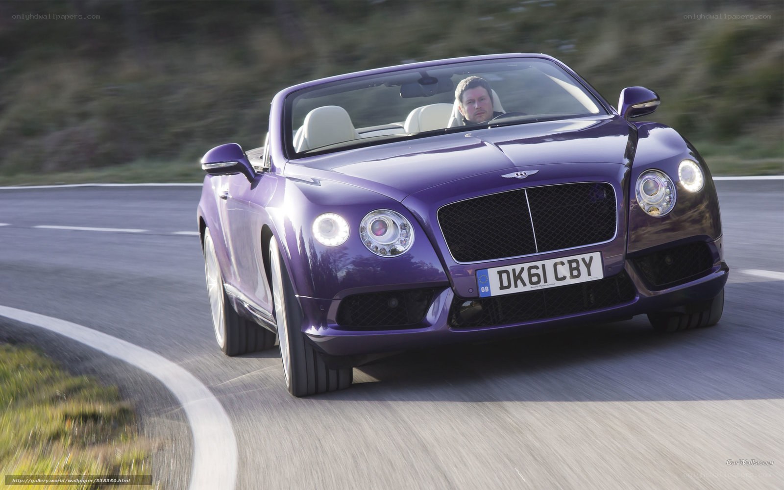 Purple Bentley driving on road