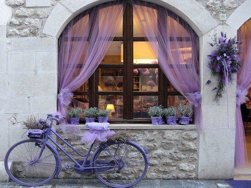 Purple Bicycle by Window