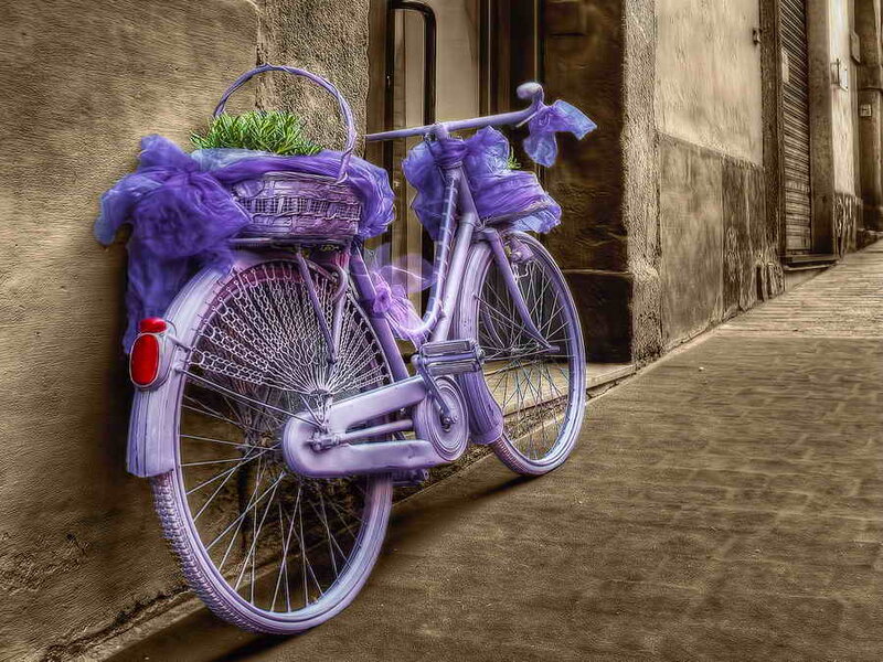Purple Bicycle with Basket