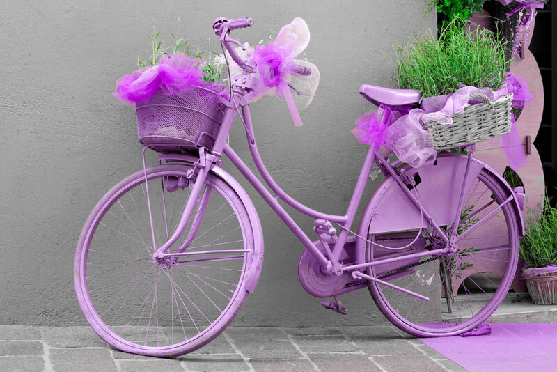 Purple Bicycle with Baskets
