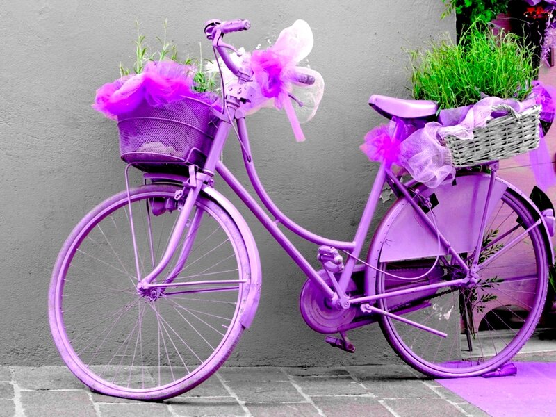Purple Bicycle with Baskets — Whimsical