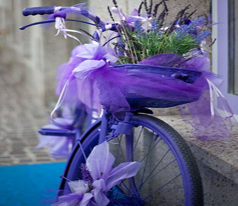 Purple Bicycle with Flowers — Festive