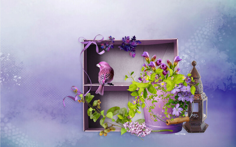 Purple Bird in Box