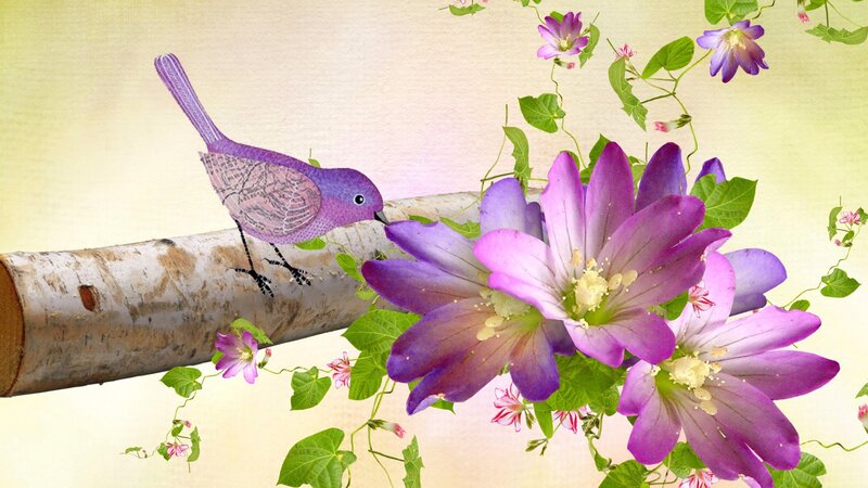 Purple Bird on Branch — Serene