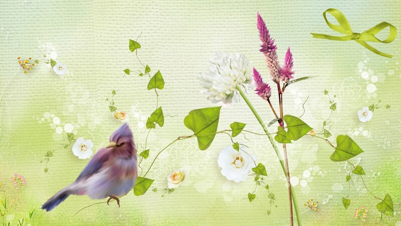 Purple Bird on Branch