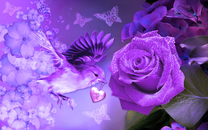 Purple Bird with Rose