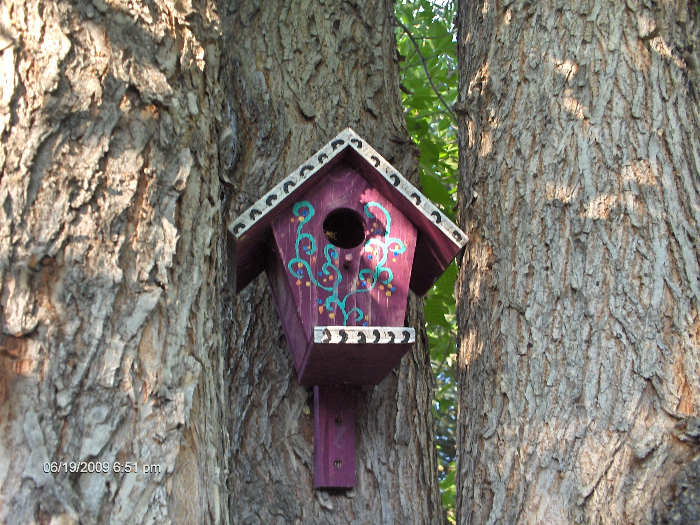 Purple birdhouse on tree