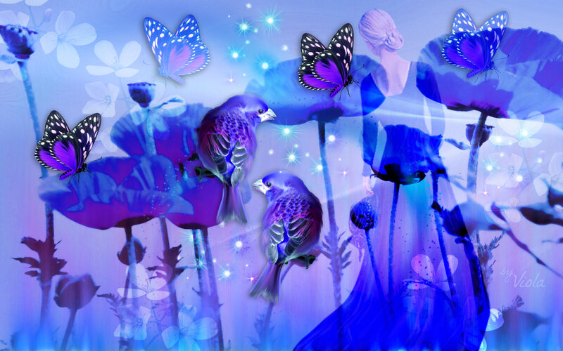 Purple Birds and Butterflies — Blue