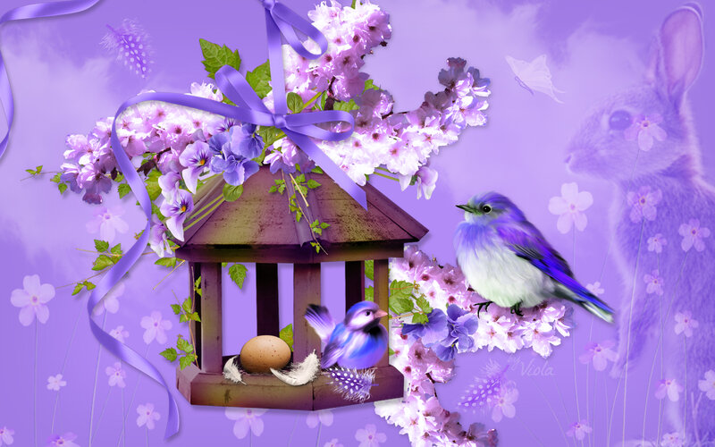 Purple Birds in Birdhouse