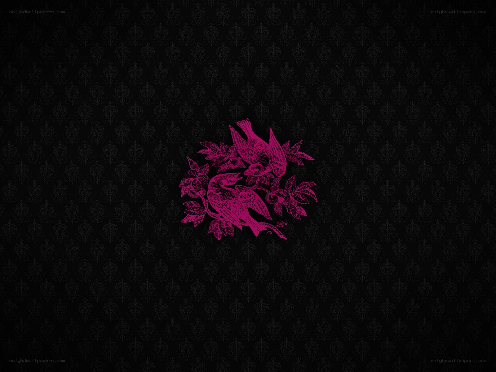 purple birds on black background