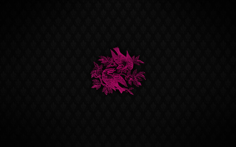 purple birds on black wallpaper