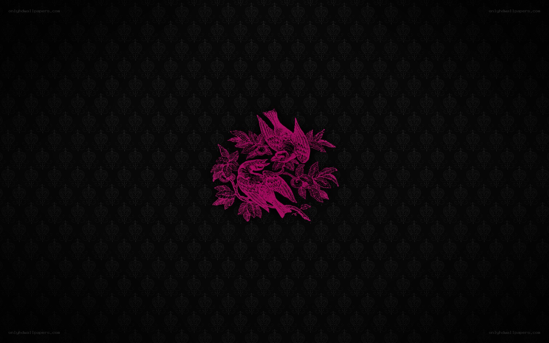 purple birds on black wallpaper