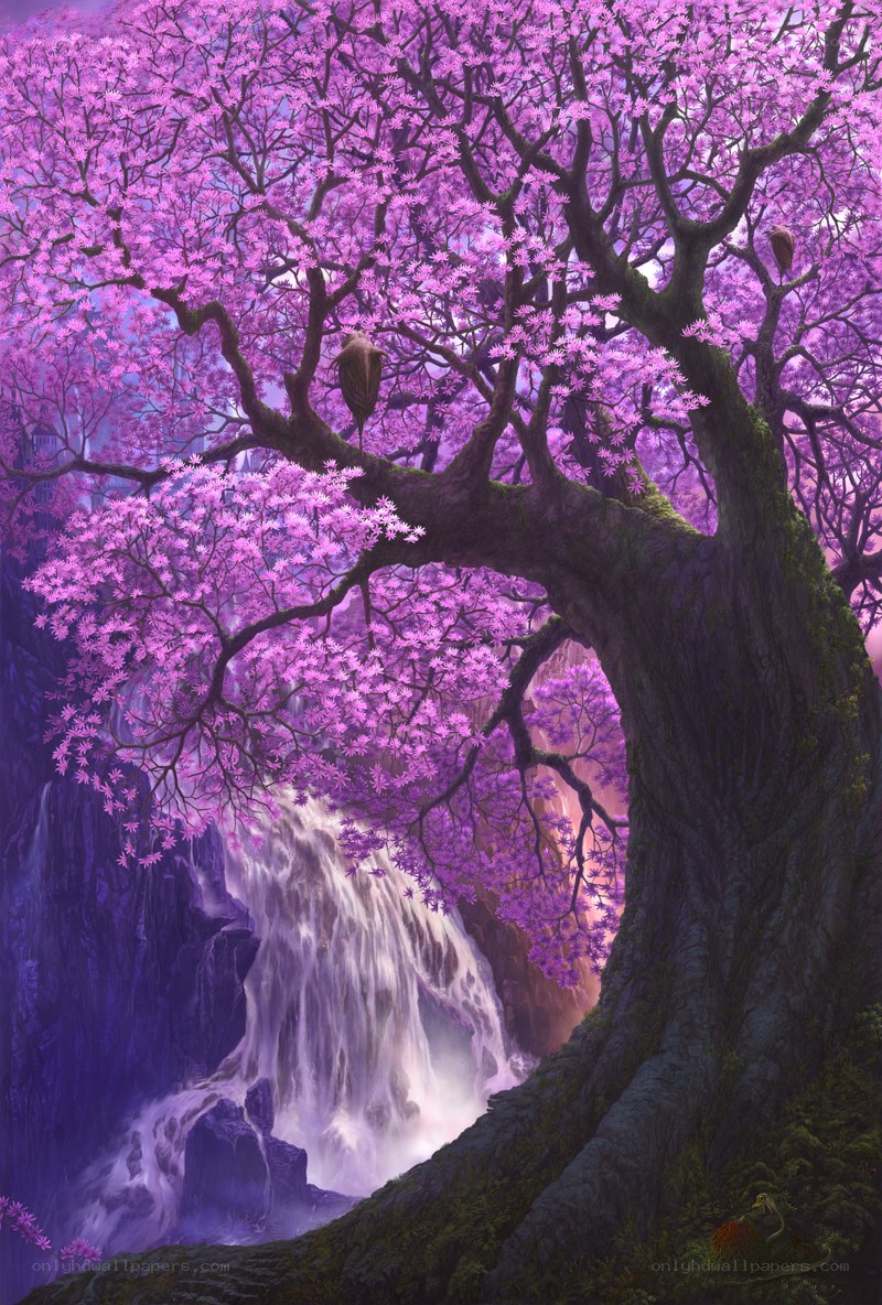 Purple Blossom Tree and Waterfall