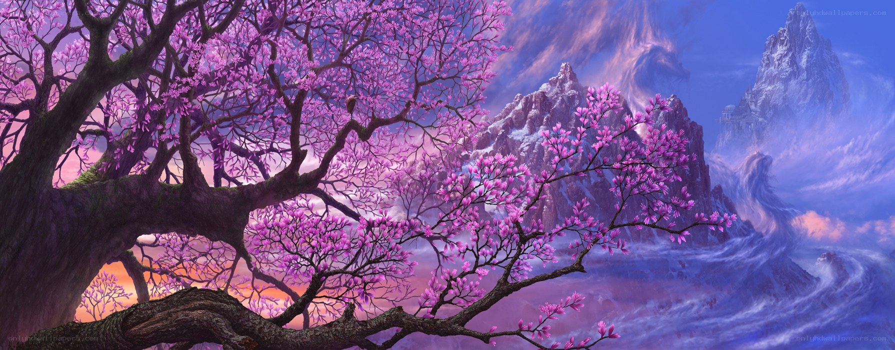 purple blossom tree landscape