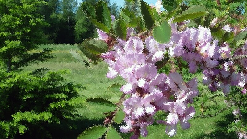 Purple Blossoms on Branch — Serene, Spring