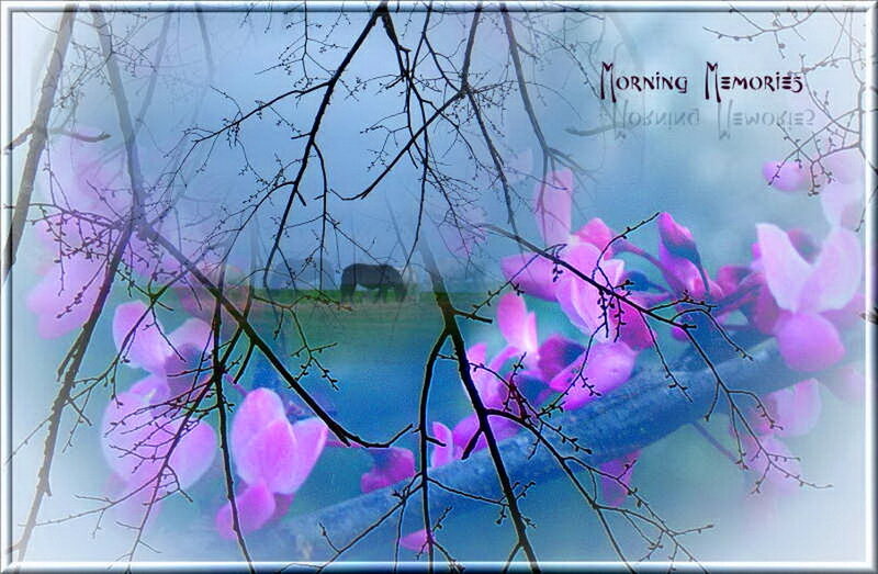 Purple Blossoms on Branches