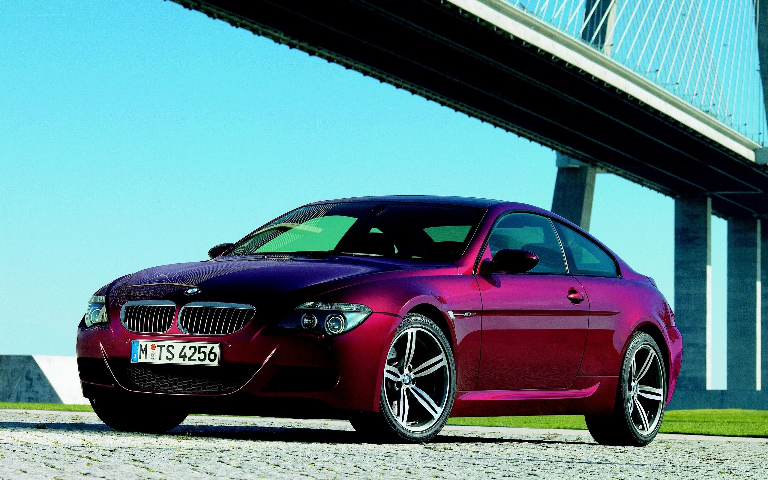 Purple BMW M6 Coupe