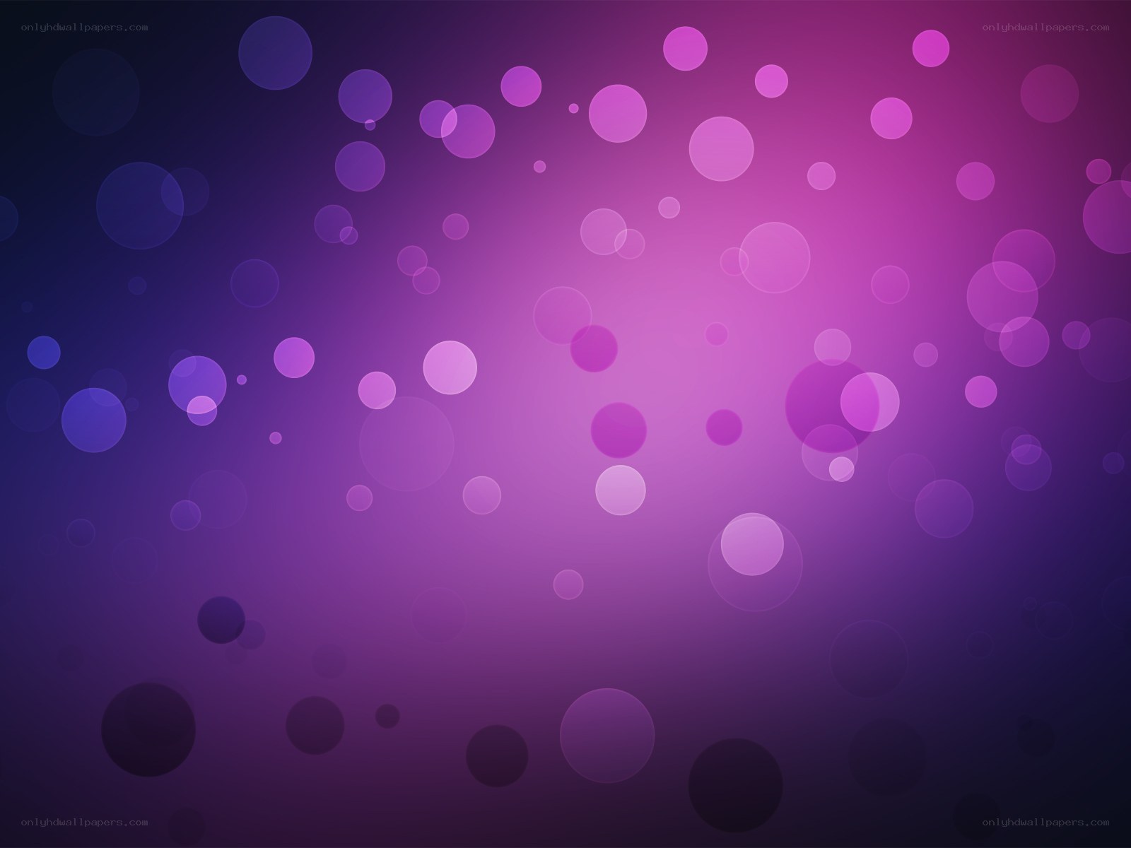 purple bokeh background