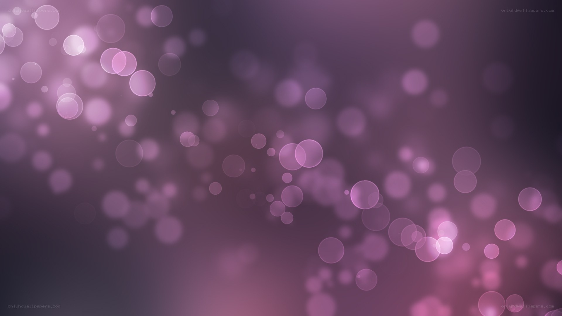 purple bokeh light circles