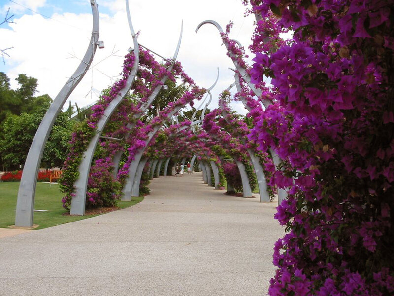 purple bougainvillea archway