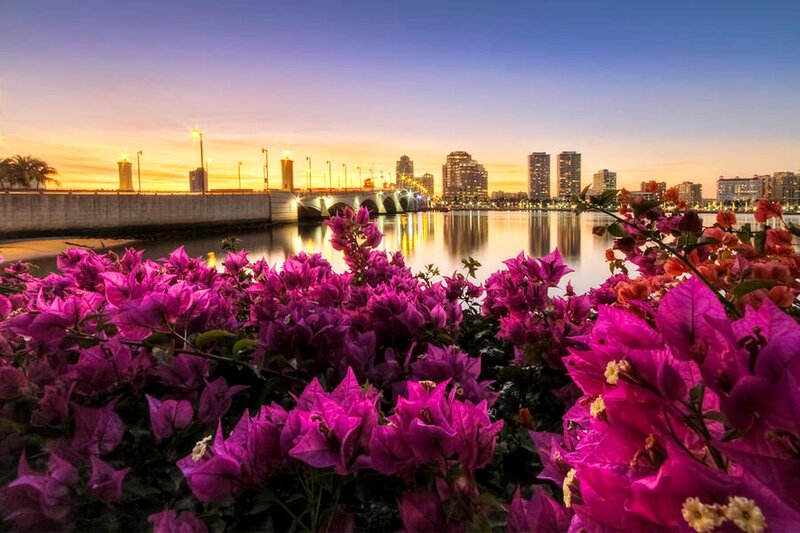 Purple Bougainvillea Flowers — Serene, Sunset