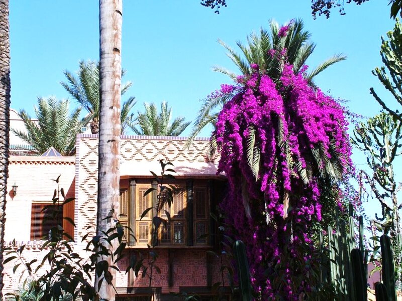 Purple Bougainvillea on Building
